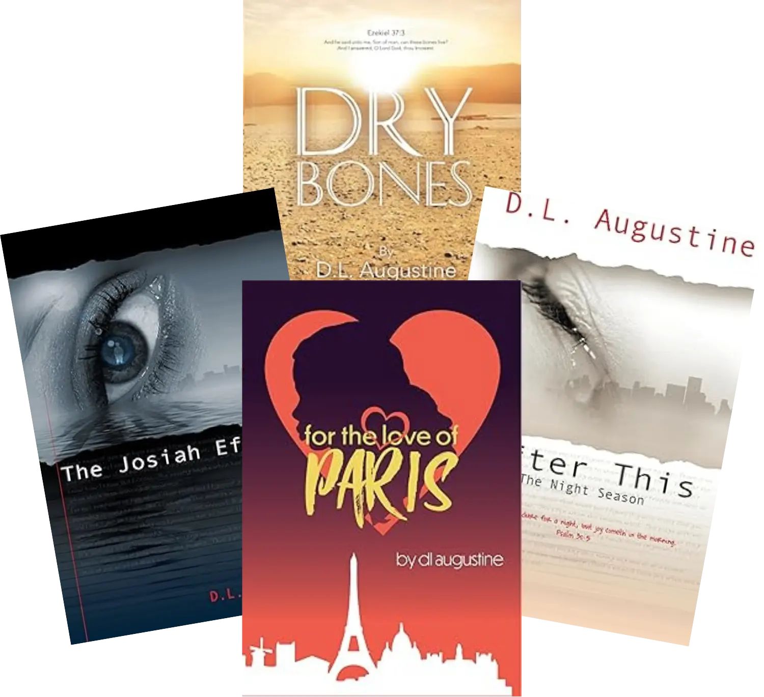 D.L. Augustine's Book Collection